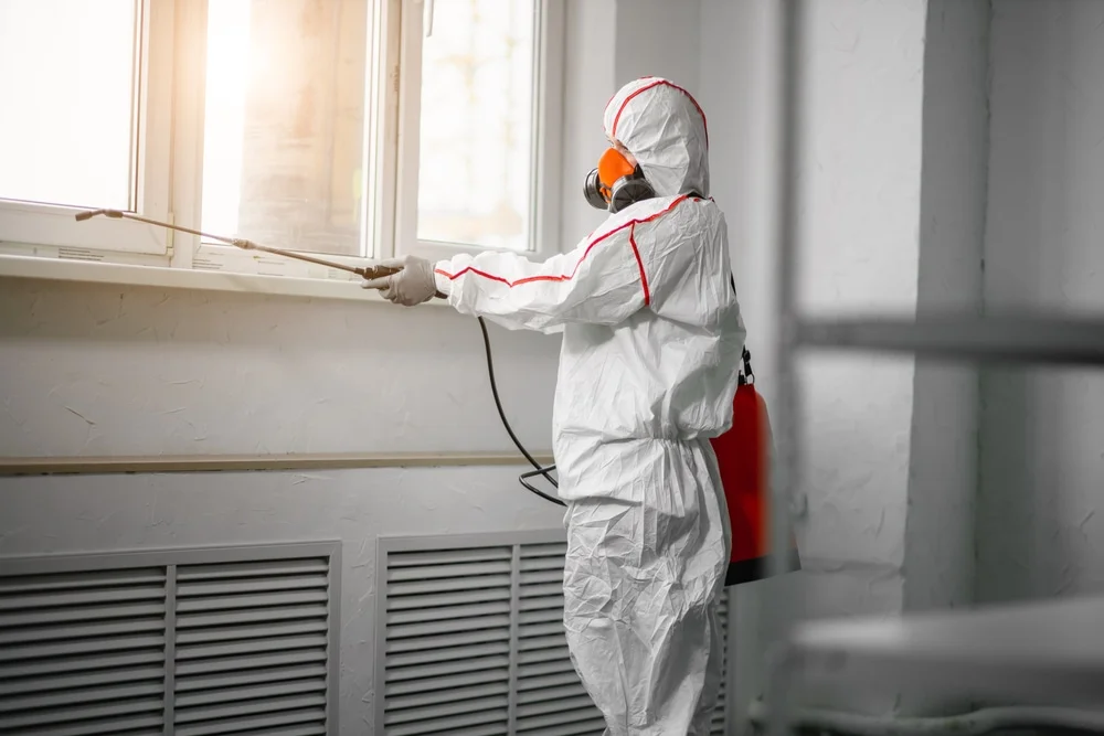 Professional mold remediation services in Jackson, NH